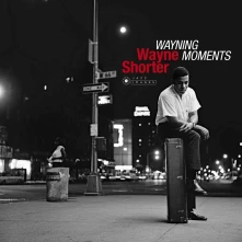 Vinyl Wayning Moments