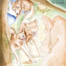 CD WOLF OF THE COSMOS