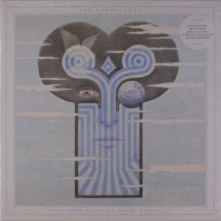 Vinyl CHAMELEONS - WHAT DOES ANYTHING MEAN? BASICALLY