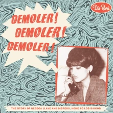 Vinyl V/A - DEMOLER! DEMOLER! DEMOLER!