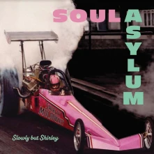 Vinyl SLOWLY BUT SHIRLEY