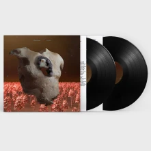 Vinyl TORSO