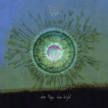 Vinyl WHEN THINGS SHINE BRIGHT