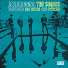 Vinyl INTRODUCING THE SONICS