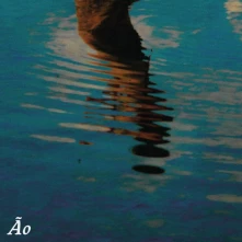 Vinyl AO MAR