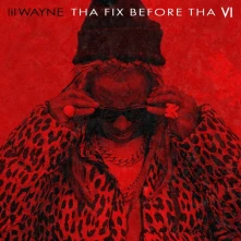 Lil Wayne, Vinyl Tha Fix Before Tha VI