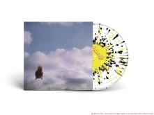 Vinyl POND - STUNG!