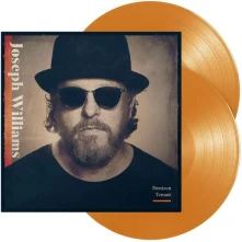 Vinyl DENIZEN TENANT