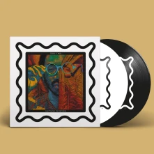 Vinyl Toro Y Moi - Anything In Return