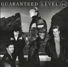 Vinyl Guaranteed (Expanded Edition) (Silver/Black Marbled Vinyl) (Numbered)