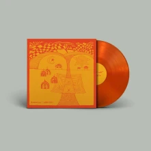 Vinyl HIDDEN PATH (ORANGE)
