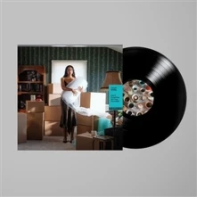 Vinyl I DON'T KNOW HOW BUT T...