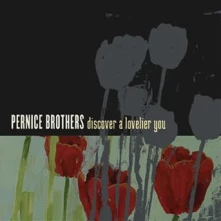 CD PERNICE BROTHERS - DISCOVER A LOVELIER YOU