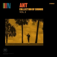 Vinyl Ant - Collection of Sounds Vol. 2