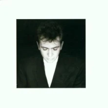 CD GABRIEL PETER - SHAKING THE TREE/R.