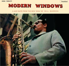 Vinyl MODERN WINDOWS