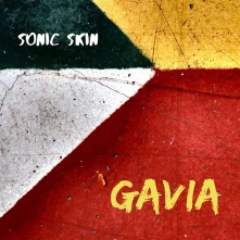 CD SVEN BERGGREN: GAVIA