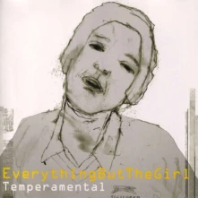 Vinyl TEMPERAMENTAL