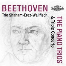 CD BEETHOVEN: THE PIANO T...