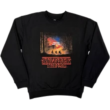 Stranger Things - Friends Don’t Lie
