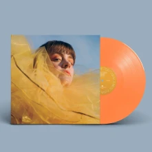 Vinyl A NEW REALITY MIND