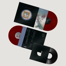 Vinyl MY NEW BAND BELIEVE