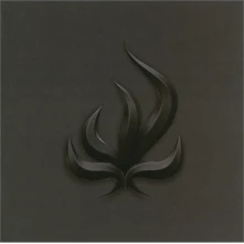 CD Black Flame