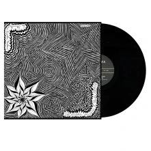 Vinyl THE PSYCHEDELIC SAXOPHONE OF CHARLIE NOTHING/IN ETERNITY WITH BROTHER FREDERIC