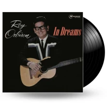 Vinyl IN DREAMS