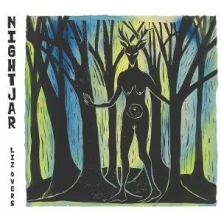 Vinyl NIGHTJAR