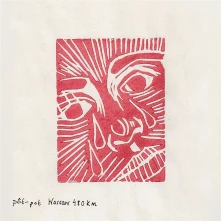 Vinyl WRSW
