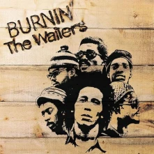 CD BURNIN'
