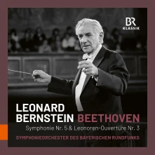 CD BEETHOVEN: SYMPHONY NO...