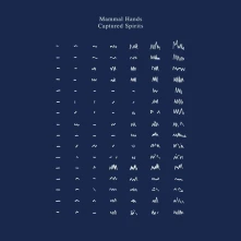 CD MAMMAL HANDS - CAPTURED SPIRITS