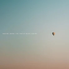 Vinyl THE FEAR OF NEVER LANDING