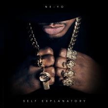 CD Self Explanatory