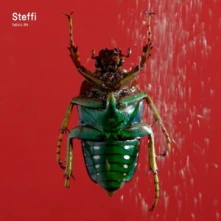 CD FABRIC 94: STEFFI