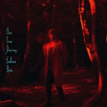 CD ENDLESS RAIN