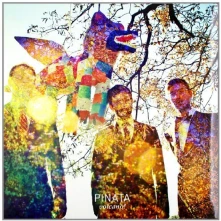 Volcano, Vinyl PINATA
