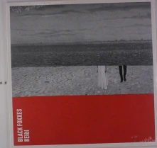 Vinyl REIDI
