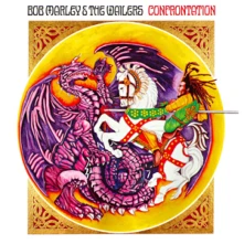 Vinyl CONFRONTATION