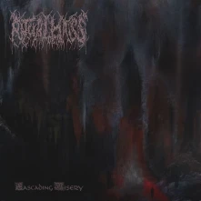 CD CASCADING MISERY