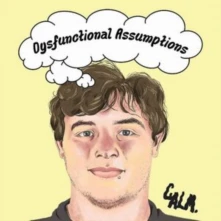CD DYSFUNCTIONAL ASSUMPTIONS