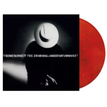 Vinyl The Criminal Under My Own Hat