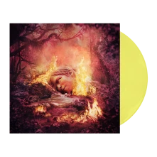 Vinyl SZNZ: SUMMER