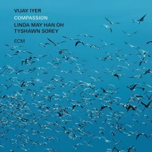 CD IYER, VIJAY & LINDA MA... - COMPASSION