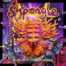 Vinyl Shpongle - Museum of Consciousness
