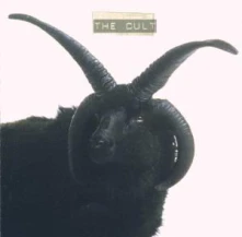 CD CULT