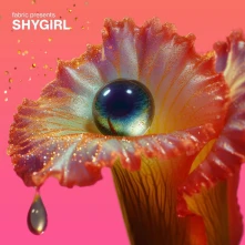 Vinyl FABRIC PRESENTS SHYGIRL