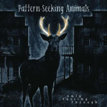 CD Seeking Animals - Only Passing Through
